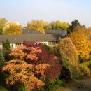 명순이네 이미지