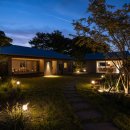 스테이다정 이미지