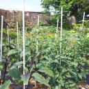 언니네집 이미지