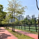 손기정문화체육센터 이미지