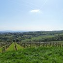 황제의 발자취 이미지