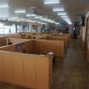 독도참가자미 이미지