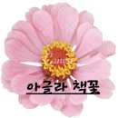 지도로 읽는 한국사 | 초등 중등 징검다리 한국사 『한국사도 독해가 먼저다 5: 조선 후기』 아글라 책리뷰
