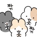 쿠덴 이미지