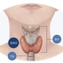 강남라이프산부인과 이미지