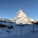 파라다이스 | 체르마트 전망 BEST♥ 마테호른 글라셔 파라다이스 후기 (고르너그라트보다 좋았던 이유)