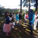 남천초교병설유치원 이미지