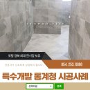 선우개발주