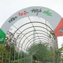 푸르미 환경 이미지