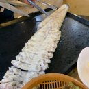 꼼지락장어