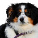 이:은동물병원 이미지