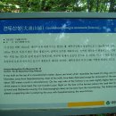 효평동 소공원 이미지