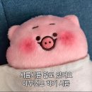 네일앤젤 이미지