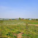 동림2목장 이미지