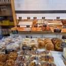 데일리팡 이미지