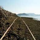 어부손씨민박 이미지