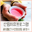 [성불산자연휴양림] 아이랑 성불산 치유의숲(2시간) 후기(ft.무장애나눔길)