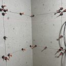 부경파크빌아파트 이미지