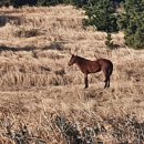 송악산농장