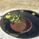 형주병원 이미지