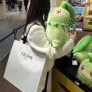 (주)어반엔터테인먼트 | 도쿄 | 파라타항공 나리타노선, 우에노 어반호텔 아넥스, 조지루시 식당, 마루노우치 일루미네이션
