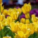 파크리오공인중개사사무소 이미지