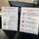 로얄수족관 | 16개월 아기랑 제주도 휘닉스 아일랜드 (B동 로얄 스위트 후기 및 부대시설)