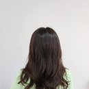 살롱드아리아 이미지