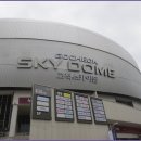 올레길 도심형 2코스 이미지