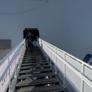 펫과의동행 | 반려견 동반 제주도 배 여행, 퀸메리호 펫스위트룸 후기 (목포→제주)