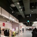 뉴 마인 하우스 이미지