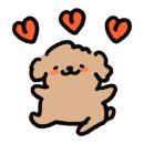 아미스시 이미지