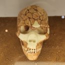 전곡선사박물관 이미지