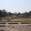 진행정사 이미지