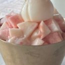보토카페