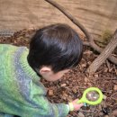 서창사슴농장 이미지