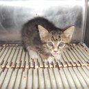 전주완산초등학교 이미지