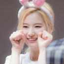 토끼사 이미지