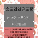 조준호 조준현 와와유도장 | 신학기 초등학생 빅 이벤트