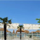 꽃피는 전복식당2 이미지