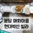 매화마을길(벌말로50번길) 이미지