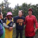 아토농장 이미지