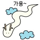 웨이브실용음악학원 이미지