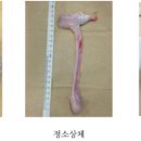 정소축산 네이버블로그