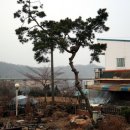 화이트팬션 이미지