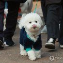 산책 이미지