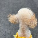 별사랑동물병원 이미지