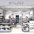 탠디스타필드하남 네이버블로그