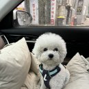 하이앤팜 | &#39;러프웨어 하이앤라이트&#39; 내돈내산 리뷰 / 러프웨어 프론트레인지와 사이즈 비교!