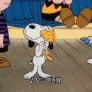 광주양림교회 | (광주 스튜디오유나) 기념일엔 역시 사진 📷 결혼 1주년 스튜디오 촬영 후기